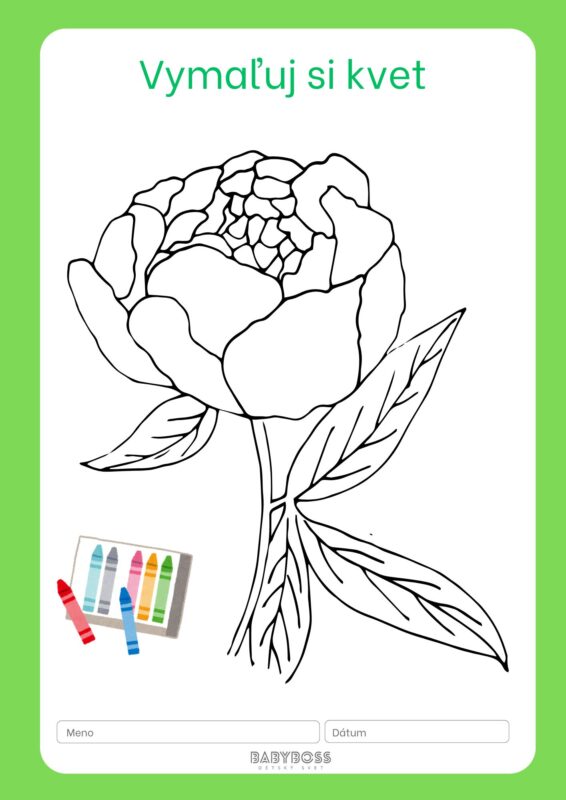 Vymaľuj si kvet