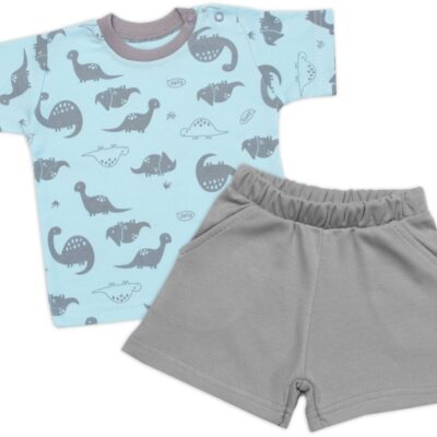 Tričko, krátky rukáv + kraťasky, 2D, Baby Nellys, Dino, bavlna, modrá/sivá